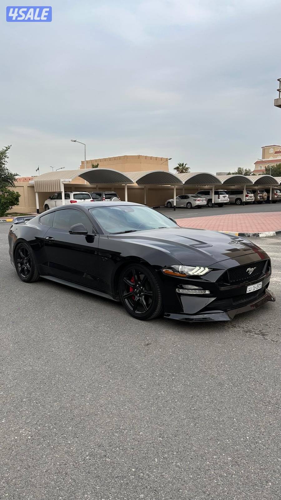 للبيع موستنق 2019 v80