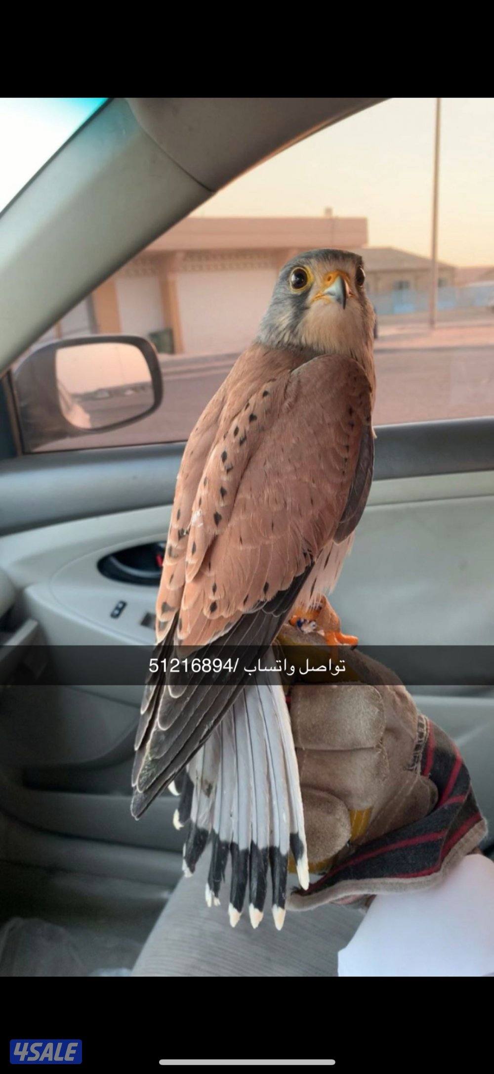 ‏للبيع تواصل واتساب0