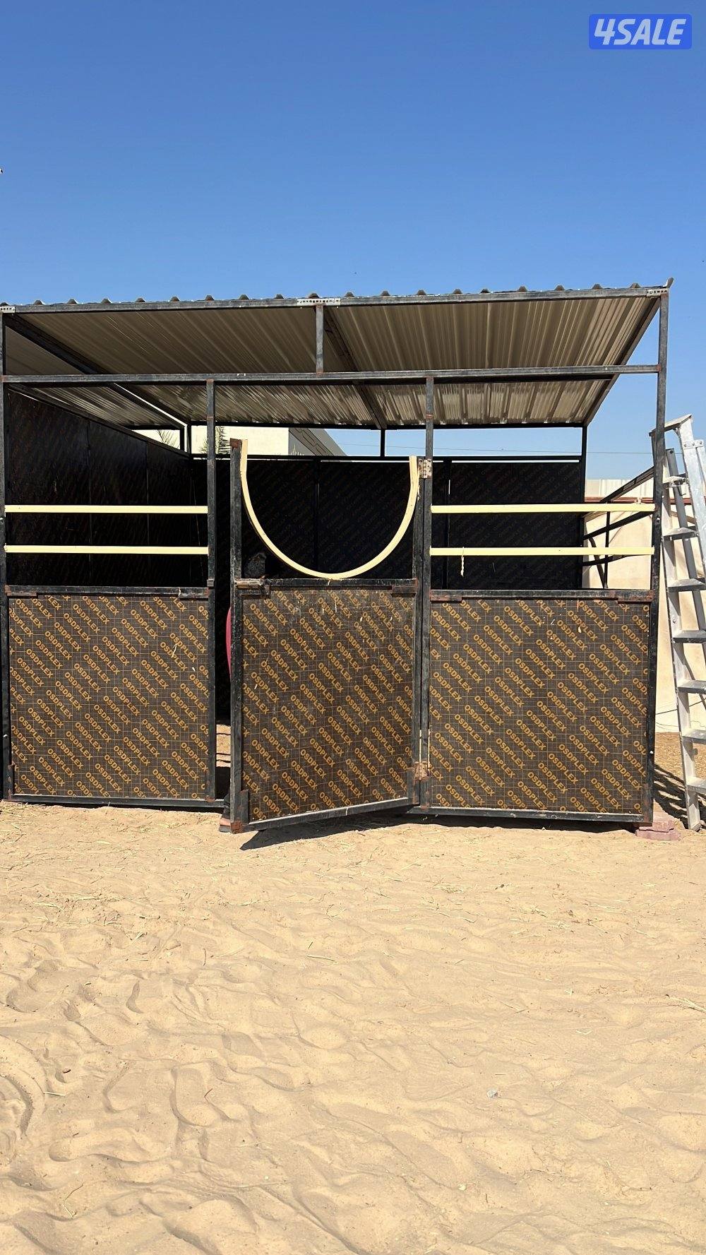 بناجر ابو علي فك تركيب لدينه بواديك لدينه ربل خيل3