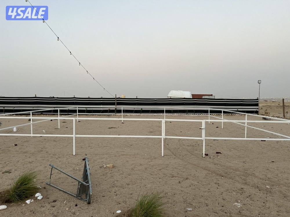 بناجر ابو علي فك تركيب لدينه بواديك لدينه ربل خيل8