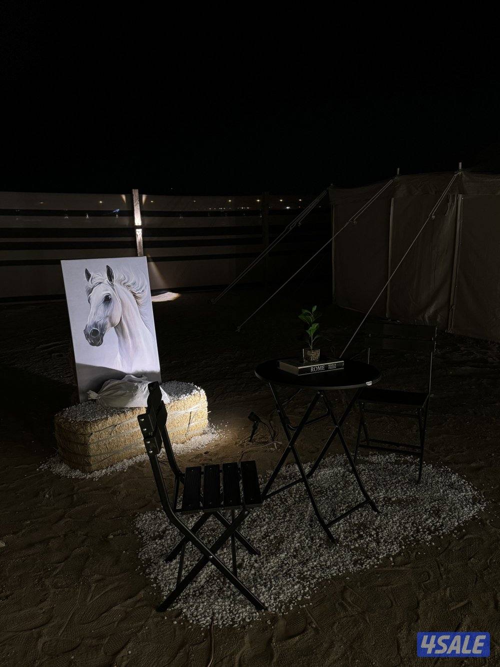 للايجار كشتة ميرالون8