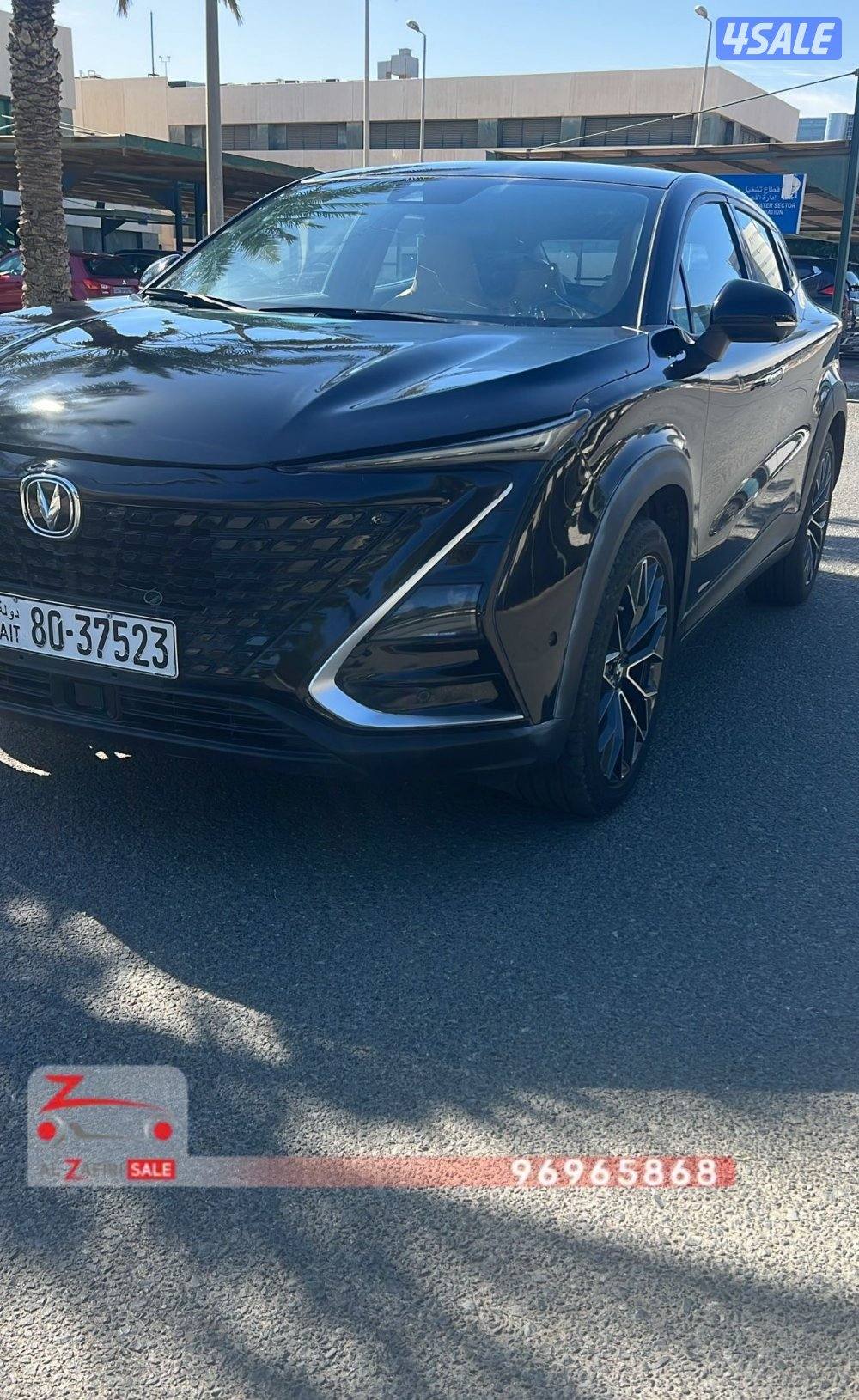 للبيع شانغان 20245