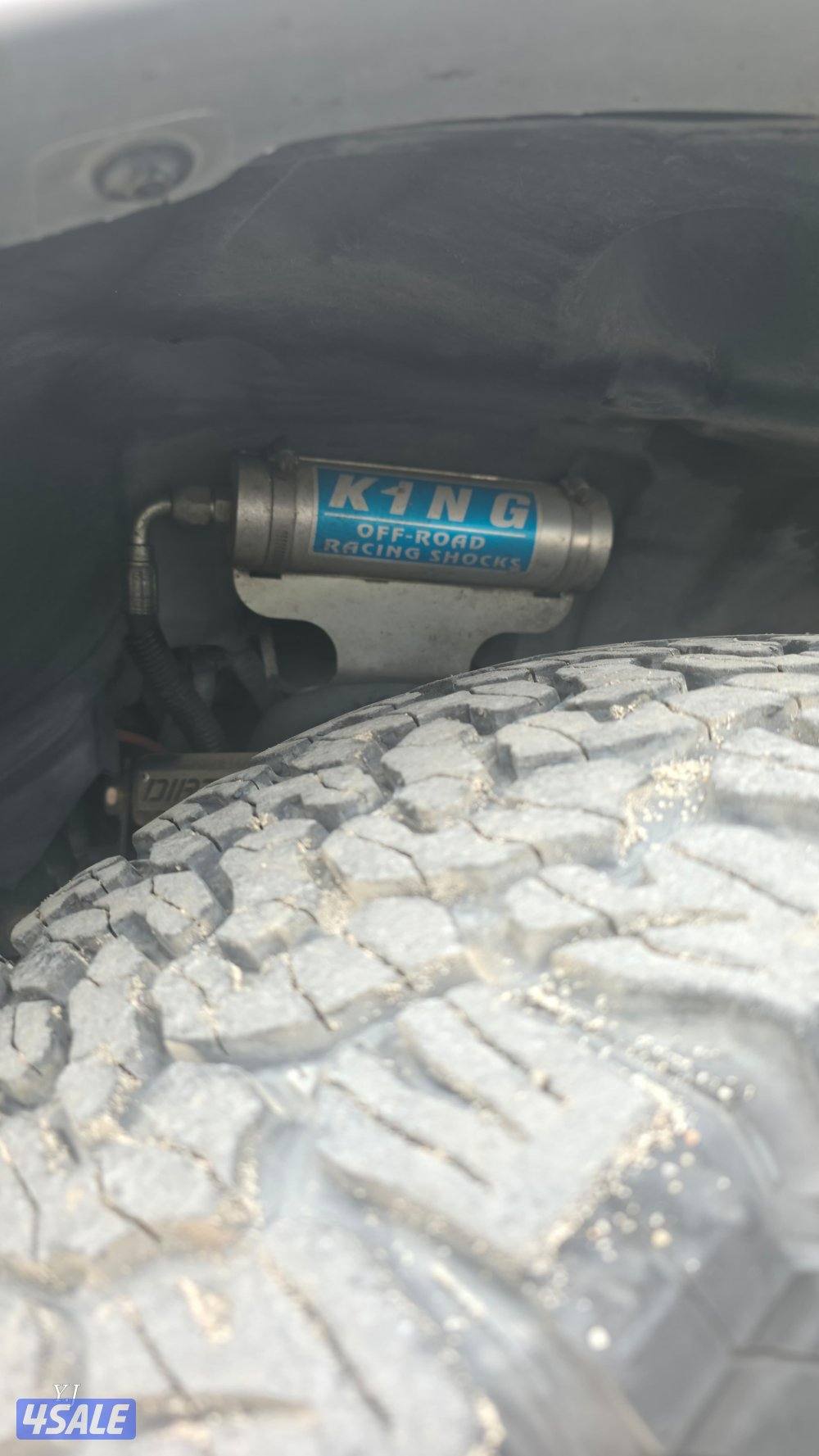 2013 صبغ الوكالة6