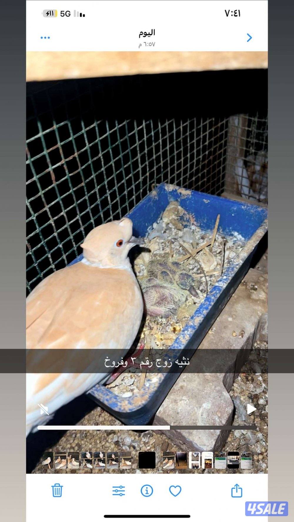 ياكريم مع إنتاجهم + ازواج حمام مع إنتاجهم2