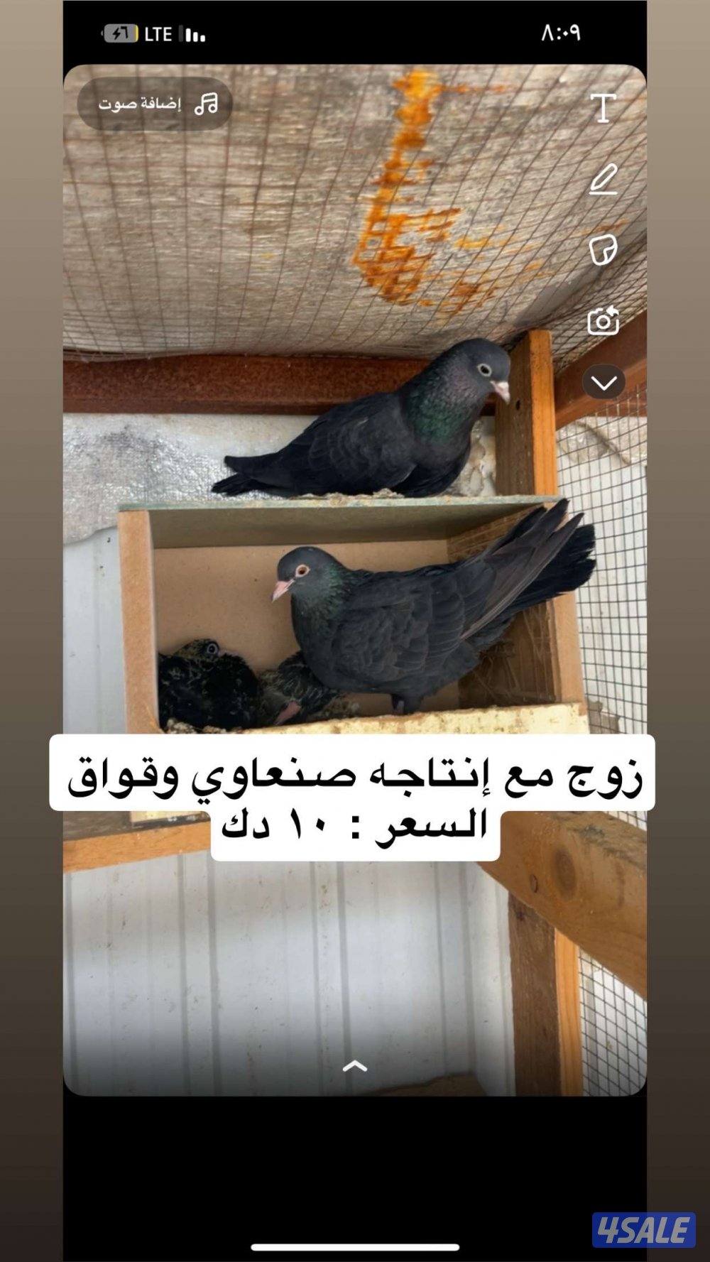 ياكريم مع إنتاجهم + ازواج حمام مع إنتاجهم5