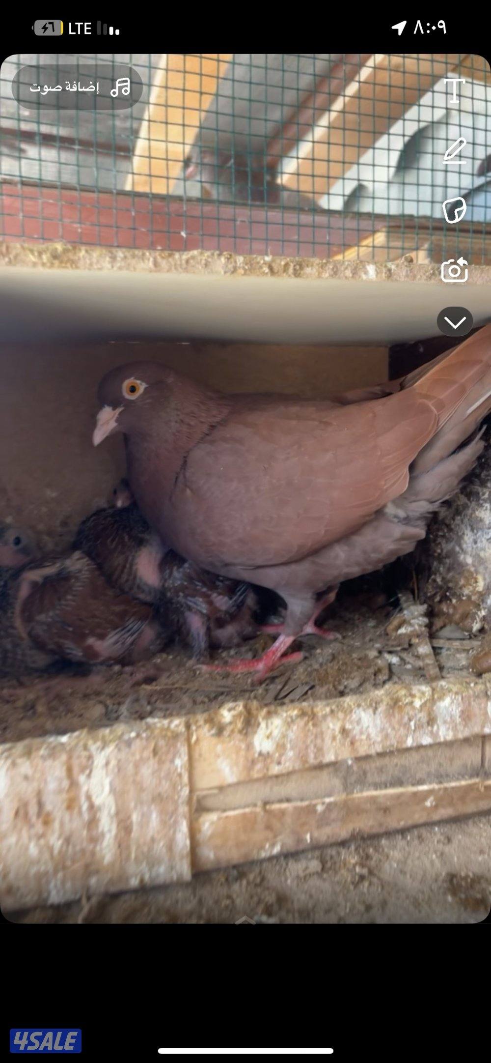 ياكريم مع إنتاجهم + ازواج حمام مع إنتاجهم8