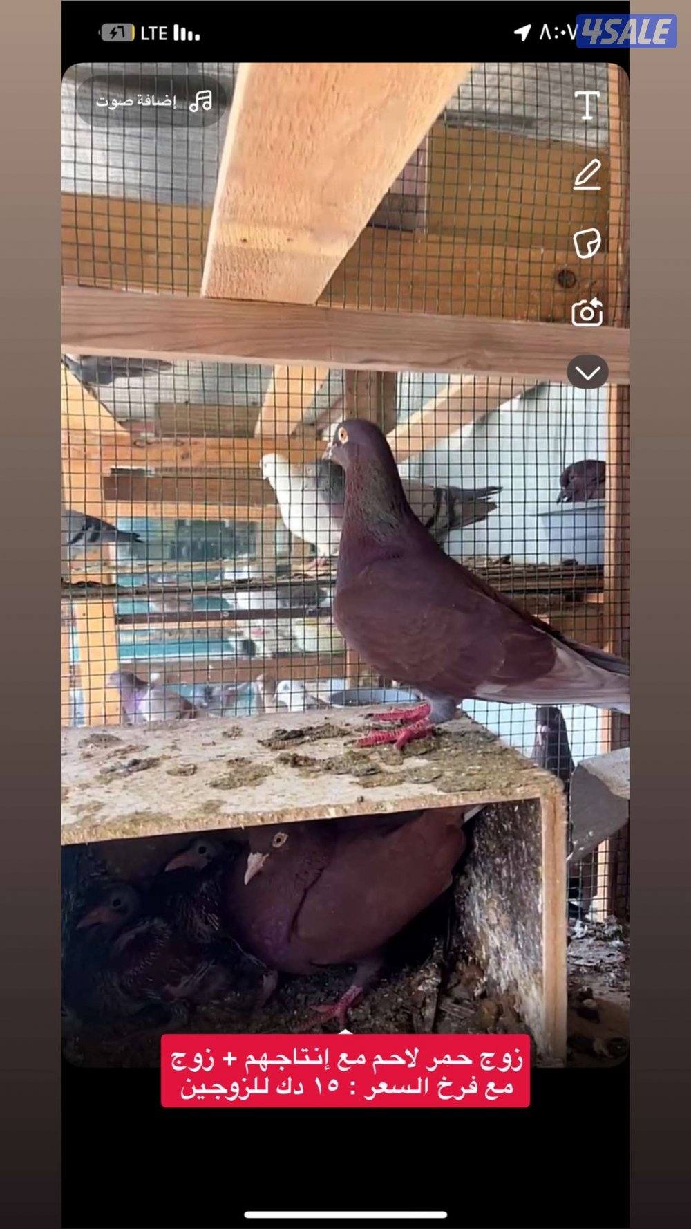 ياكريم مع إنتاجهم + ازواج حمام مع إنتاجهم7