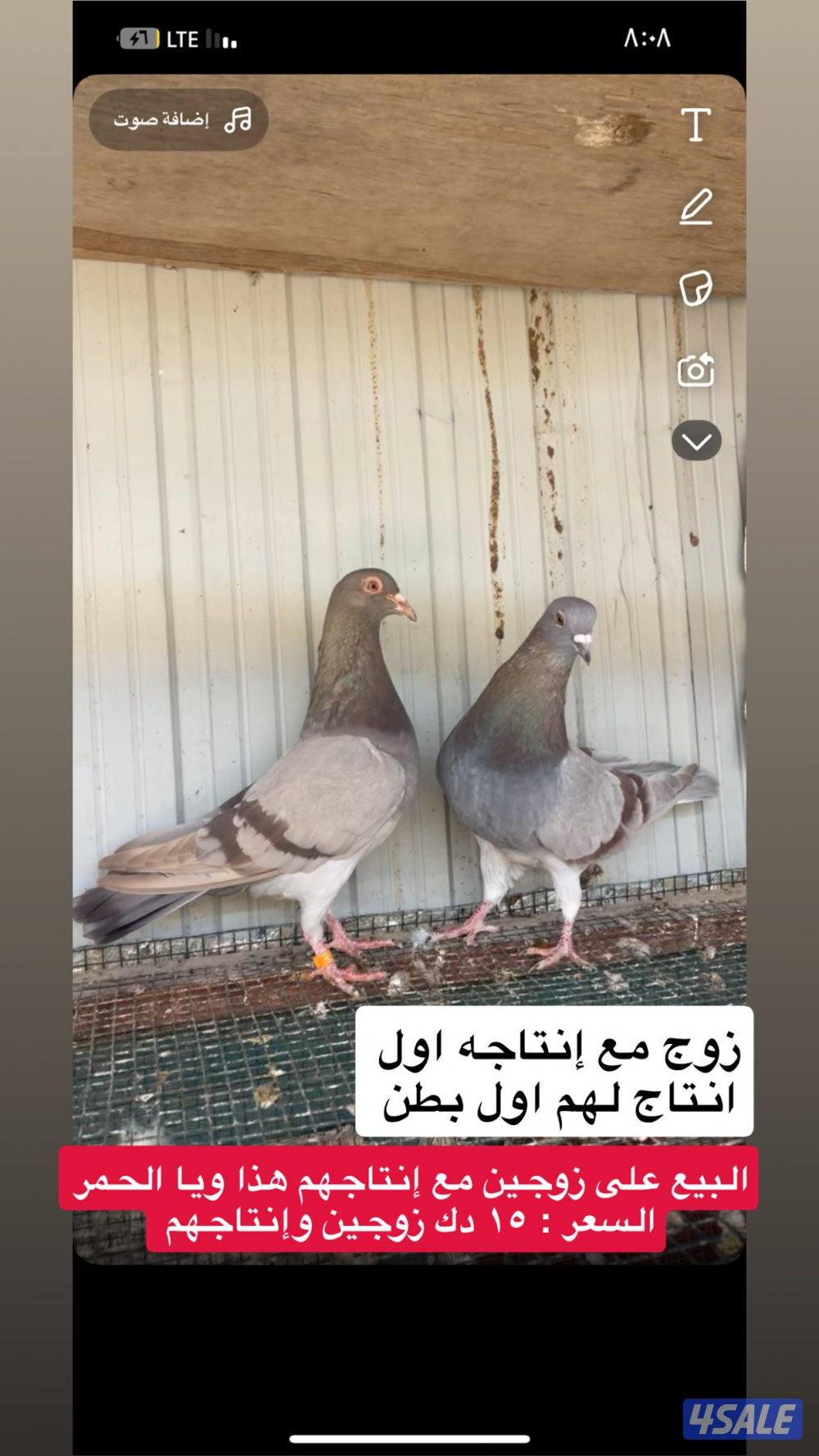 ياكريم مع إنتاجهم + ازواج حمام مع إنتاجهم9