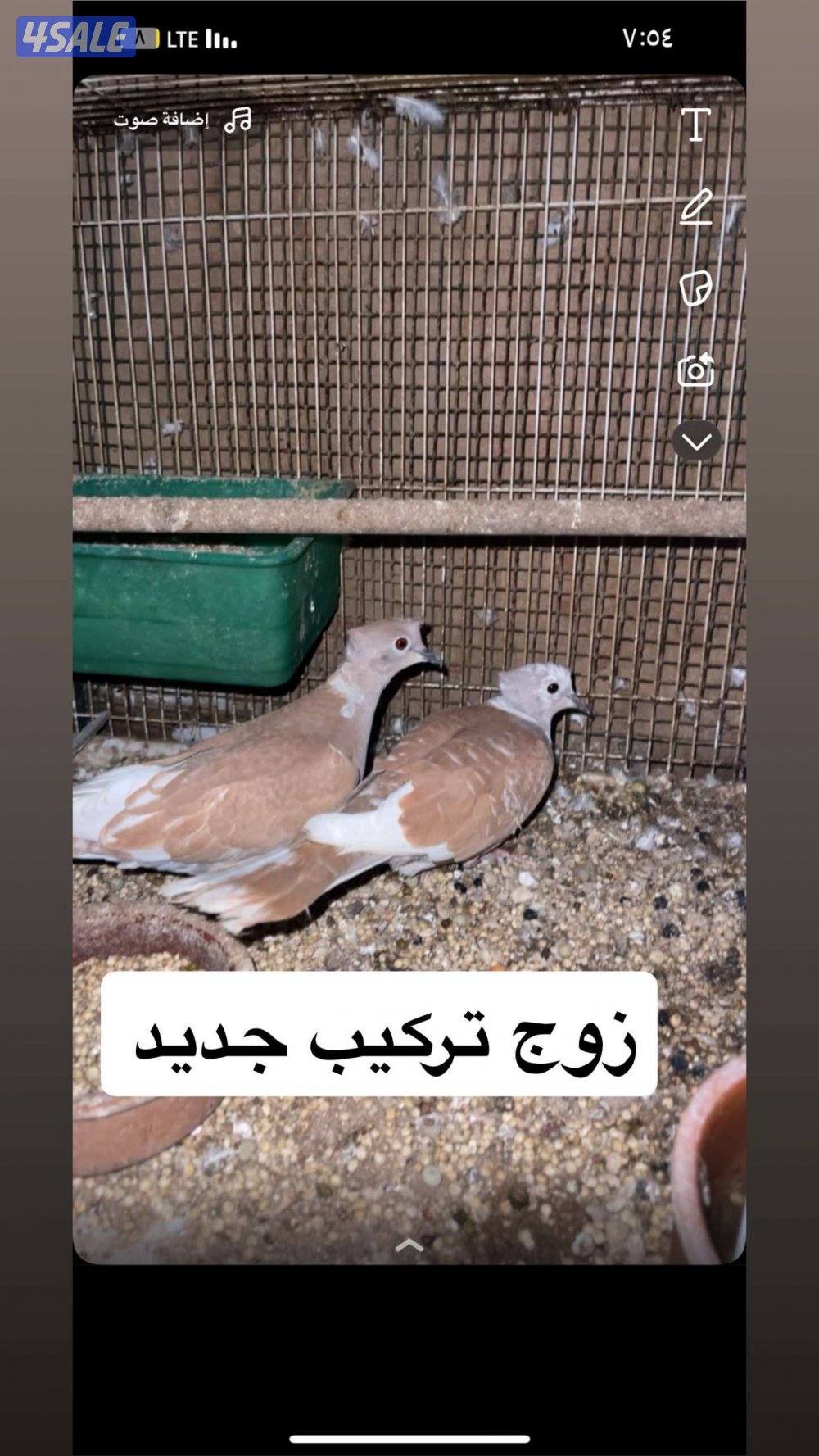 ياكريم مع إنتاجهم + ازواج حمام مع إنتاجهم4