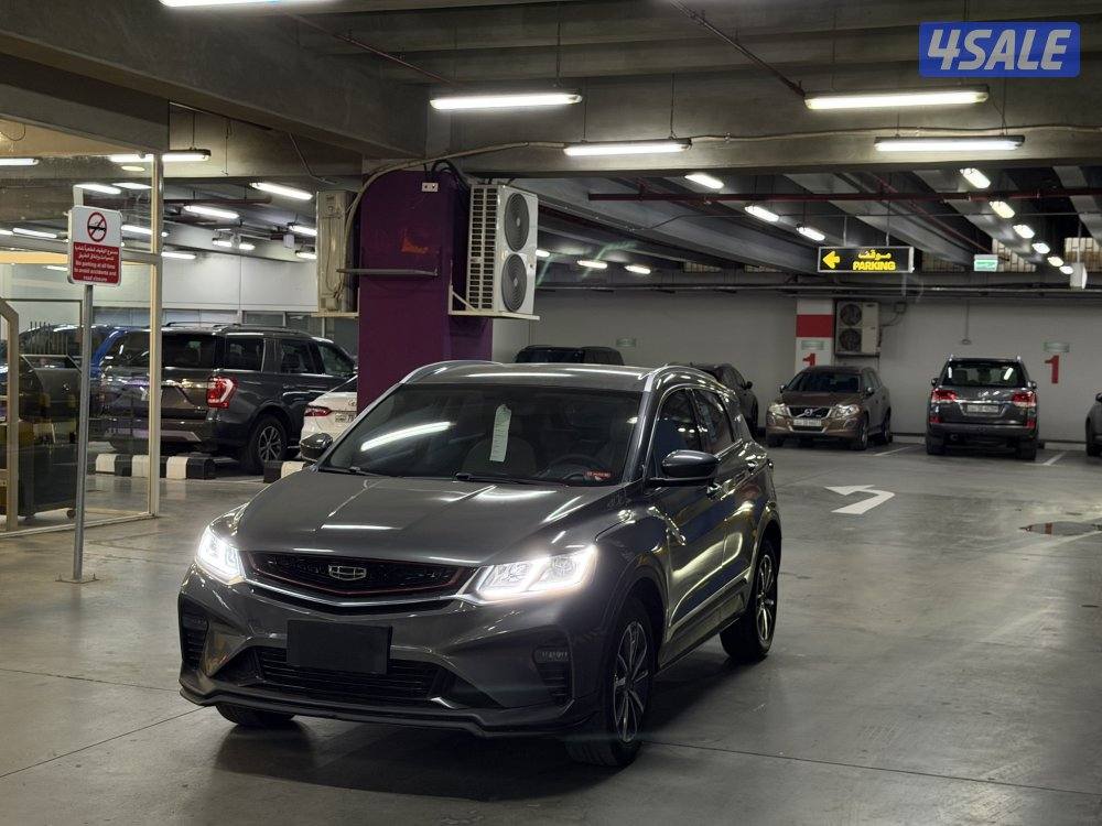 للبيع جيلي كولواي  20230