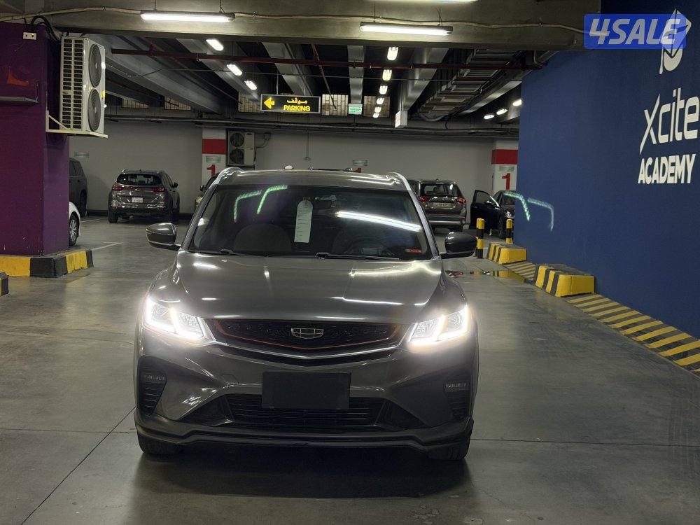 للبيع جيلي كولواي  20231