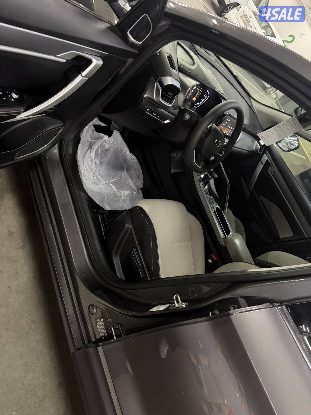 للبيع جيلي كولواي  20232