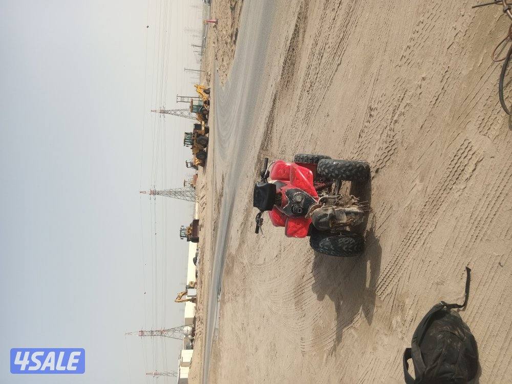 للبيع بقي تايون حجم ١٠٠0