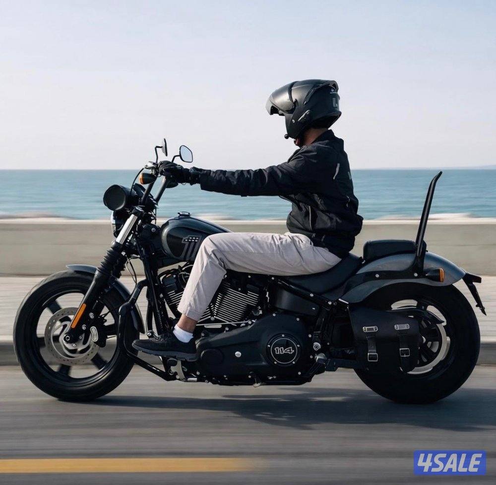 Harley Davidson StreetBob (114)2