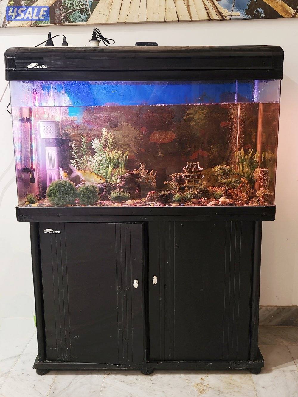 Fish tank for sale0