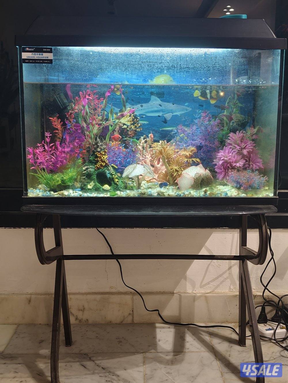Fish tank for sale1