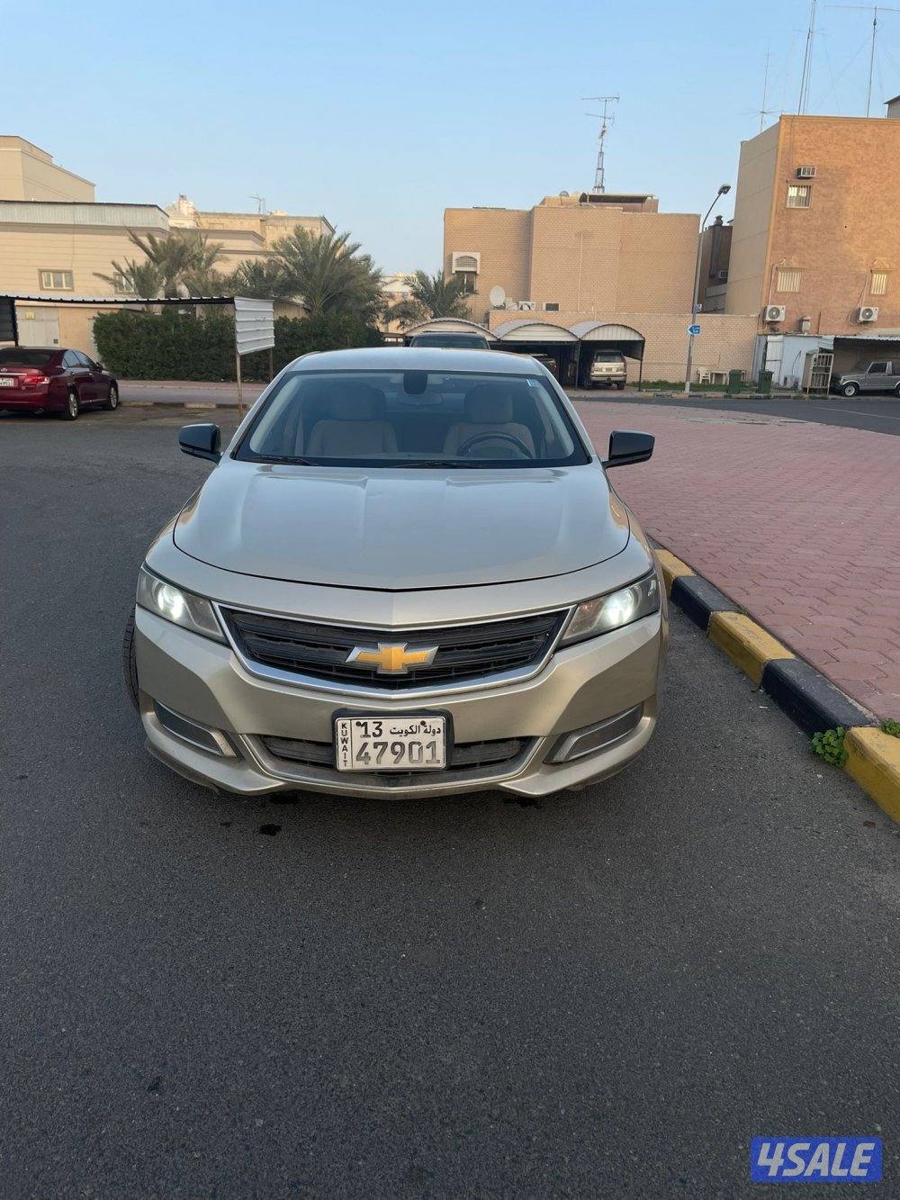 امبالا صبغ الوكاله9