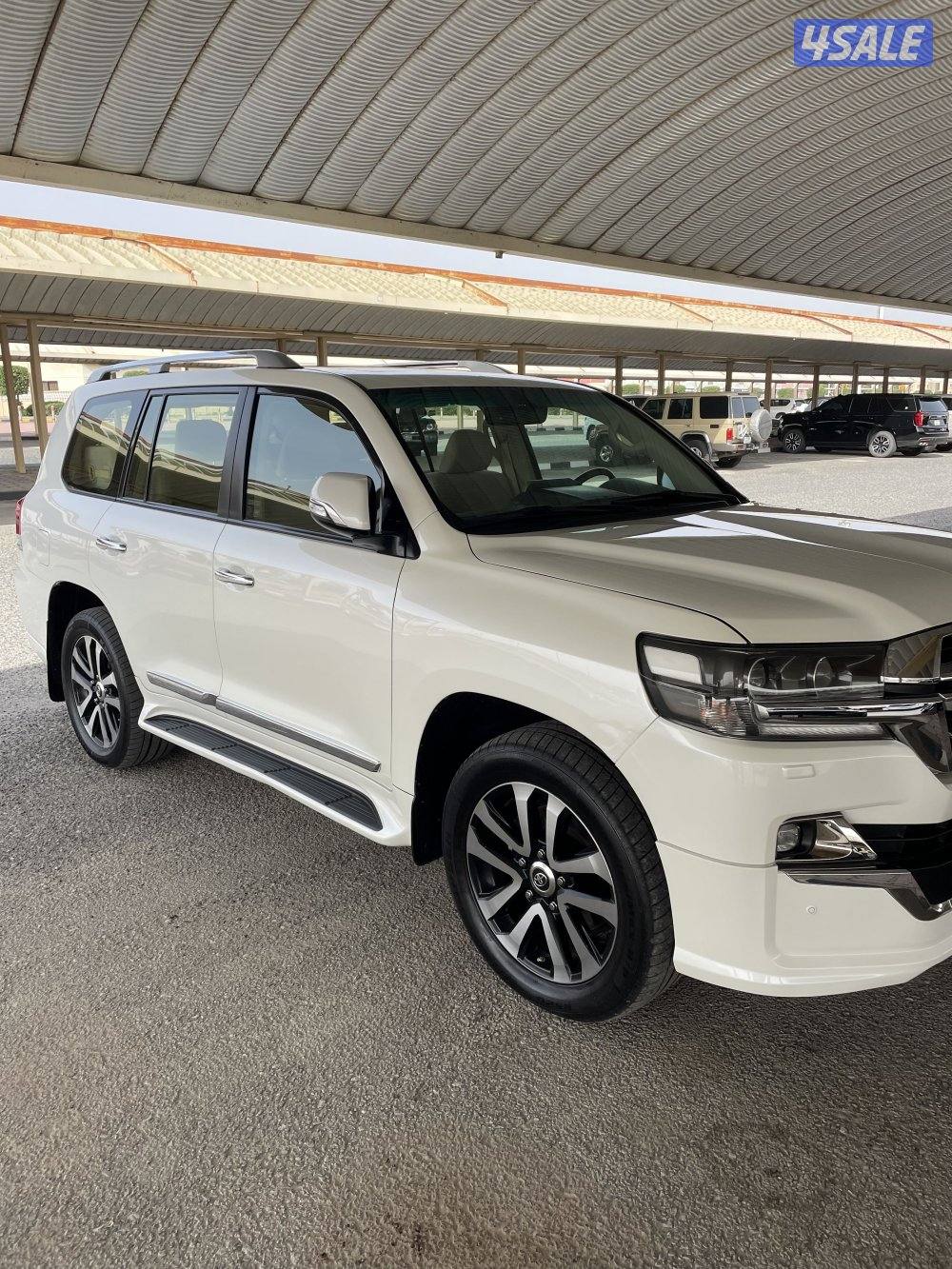 صبغ الوكالة بالكامل شرط الفحص بالكامل1