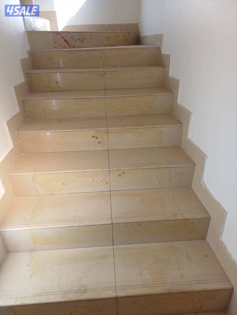 غسيل بالشامبو - تنظيف ناشف - غسيل سجاد برادي - اثاث - كنفات - شقق - فل7