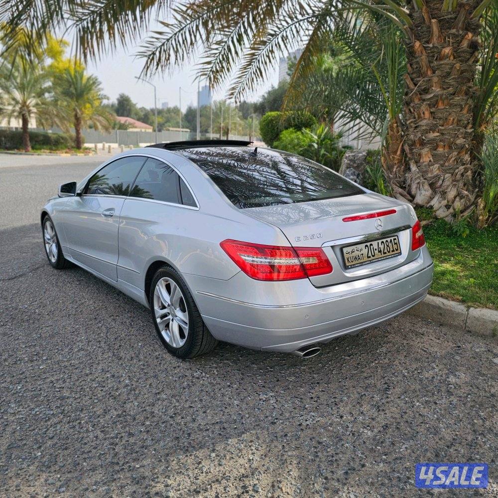 Mercedes-Benz E250 20134