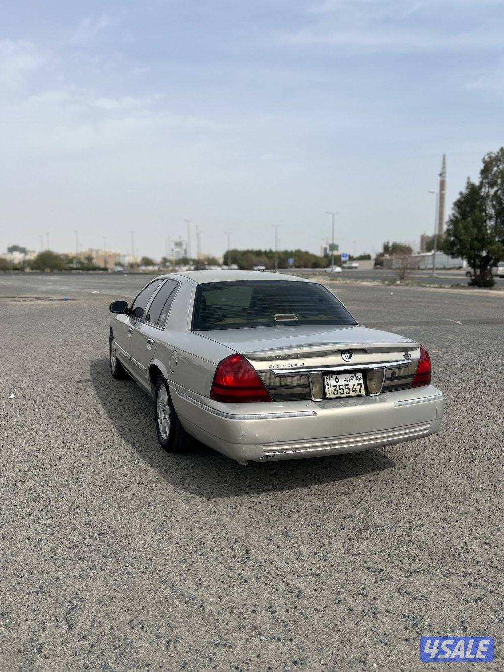 صبغ الوكاله4