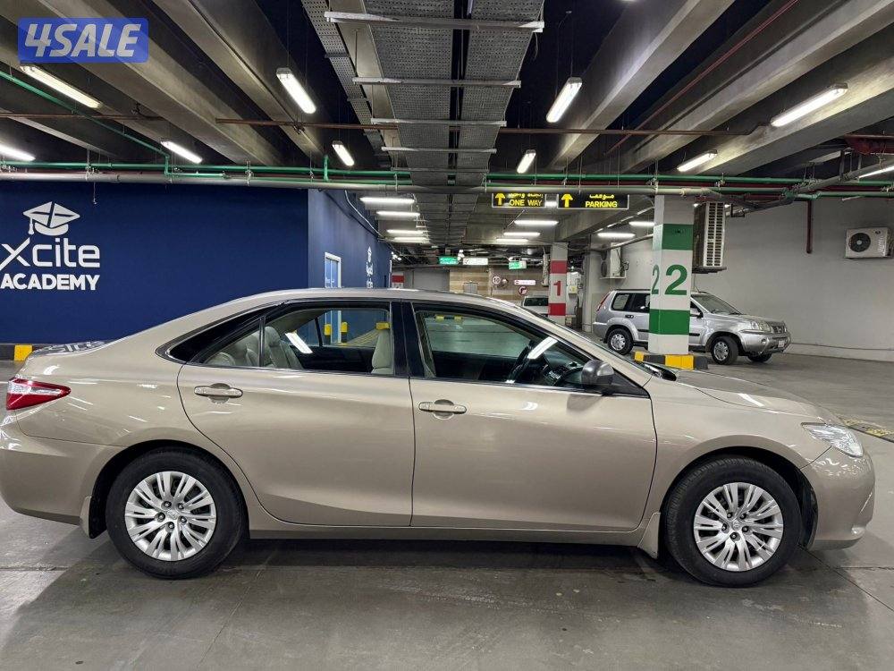 2016 صبغ وكالة6