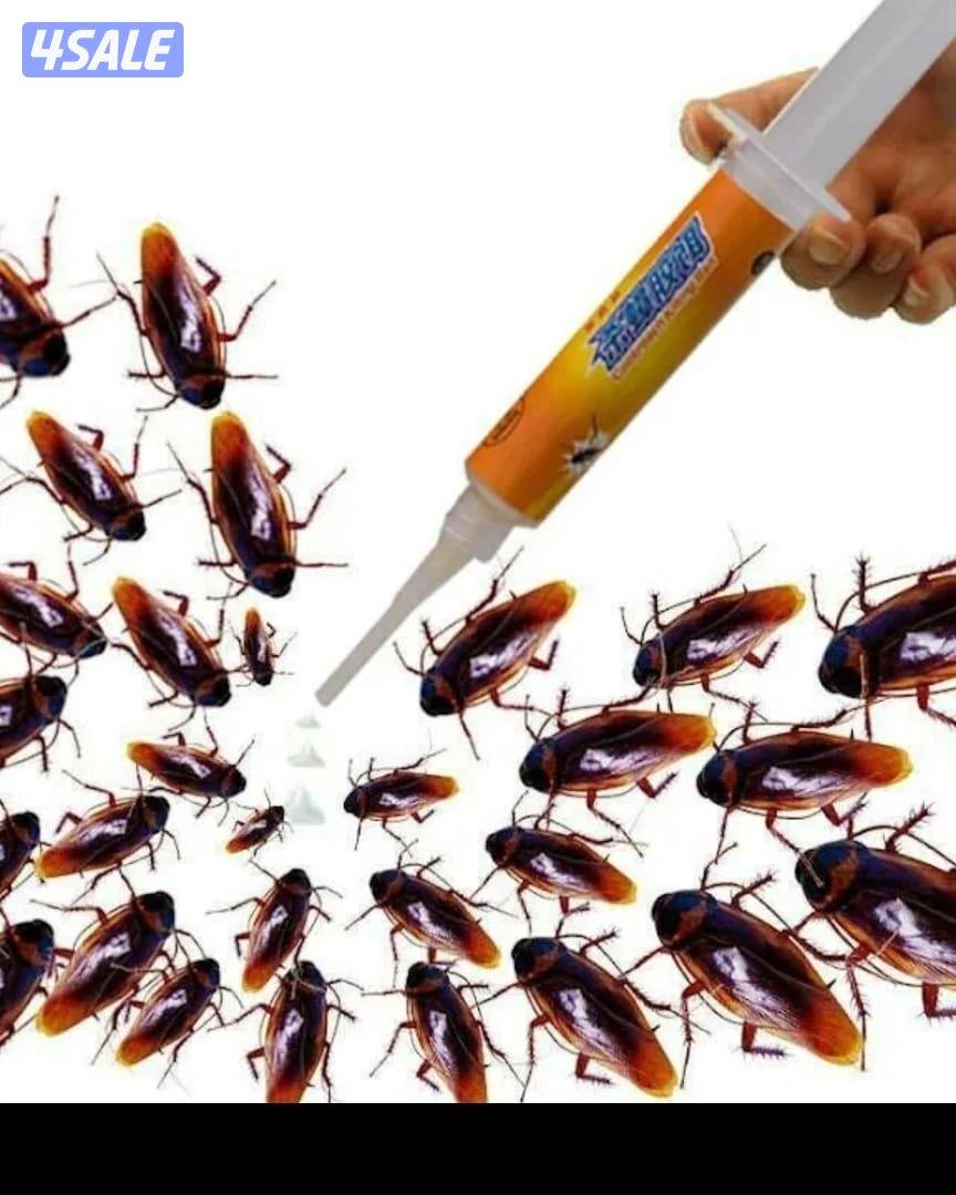 مكافحه الحشرات والقوارض1