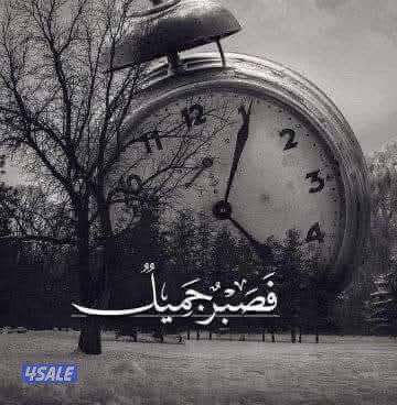 للبيع بالرحاب موقع0