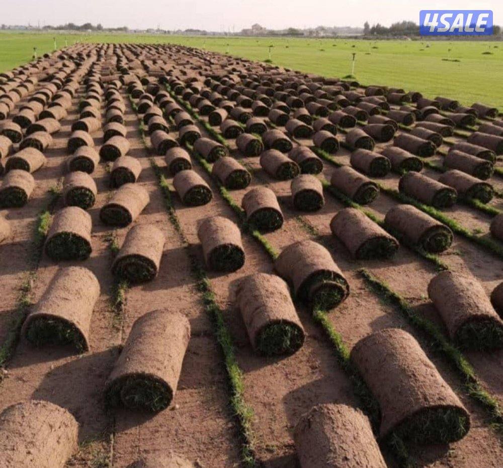 مبيعات ثيل طبيعي وصناعي والسياج التركي وبديل الخشب بأسعار مناسبة3