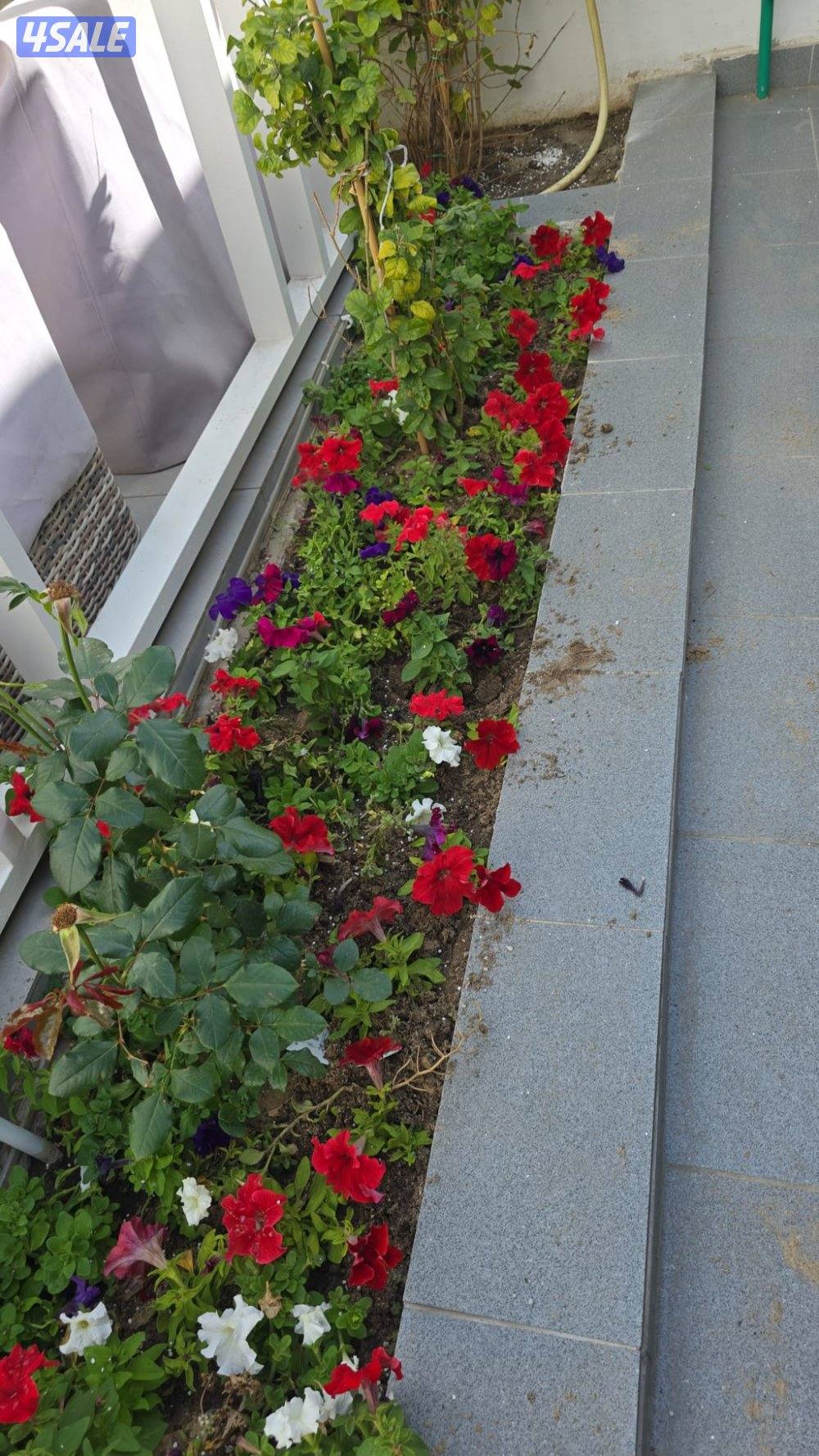 مبيعات ثيل طبيعي وصناعي والسياج التركي وبديل الخشب بأسعار مناسبة11