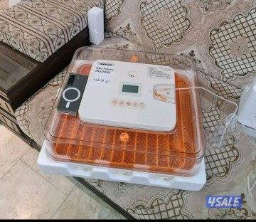 🔥الفقاصه الشقرديه🔥0