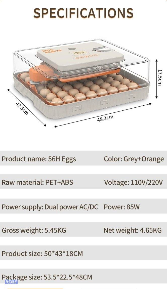 🔥الفقاصه الشقرديه🔥7