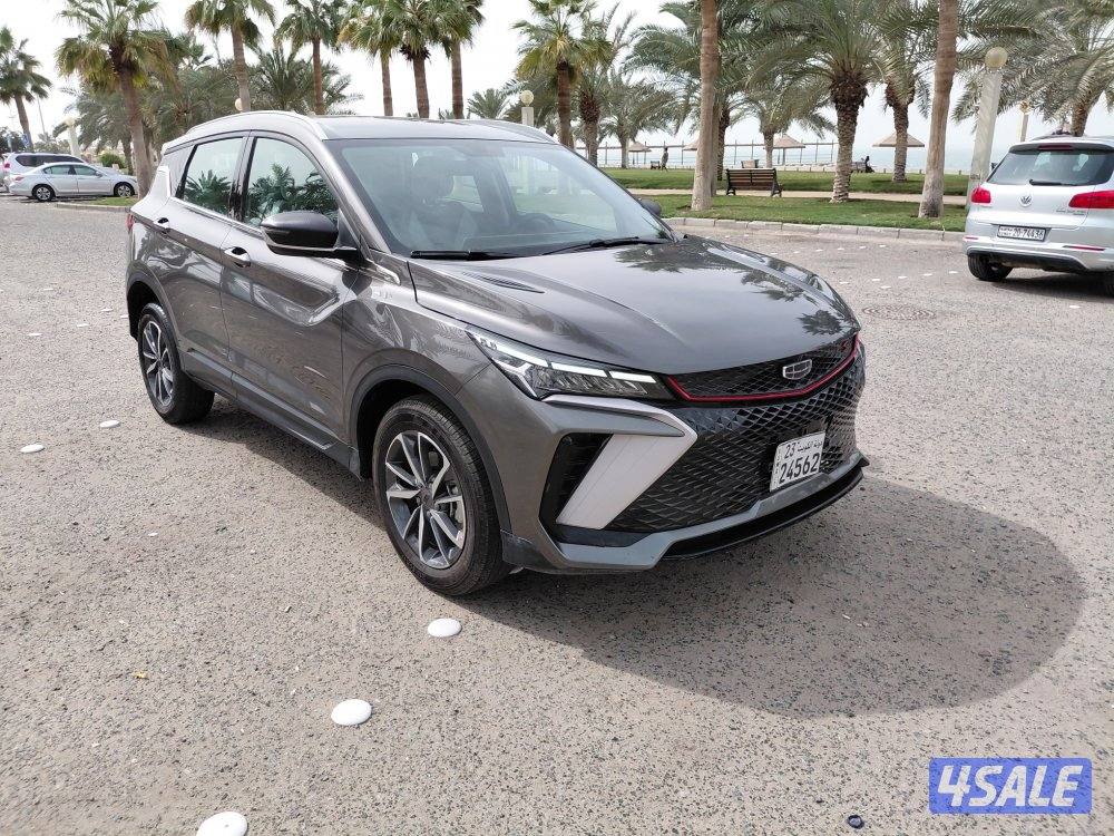 جيلي كلوراي  20251