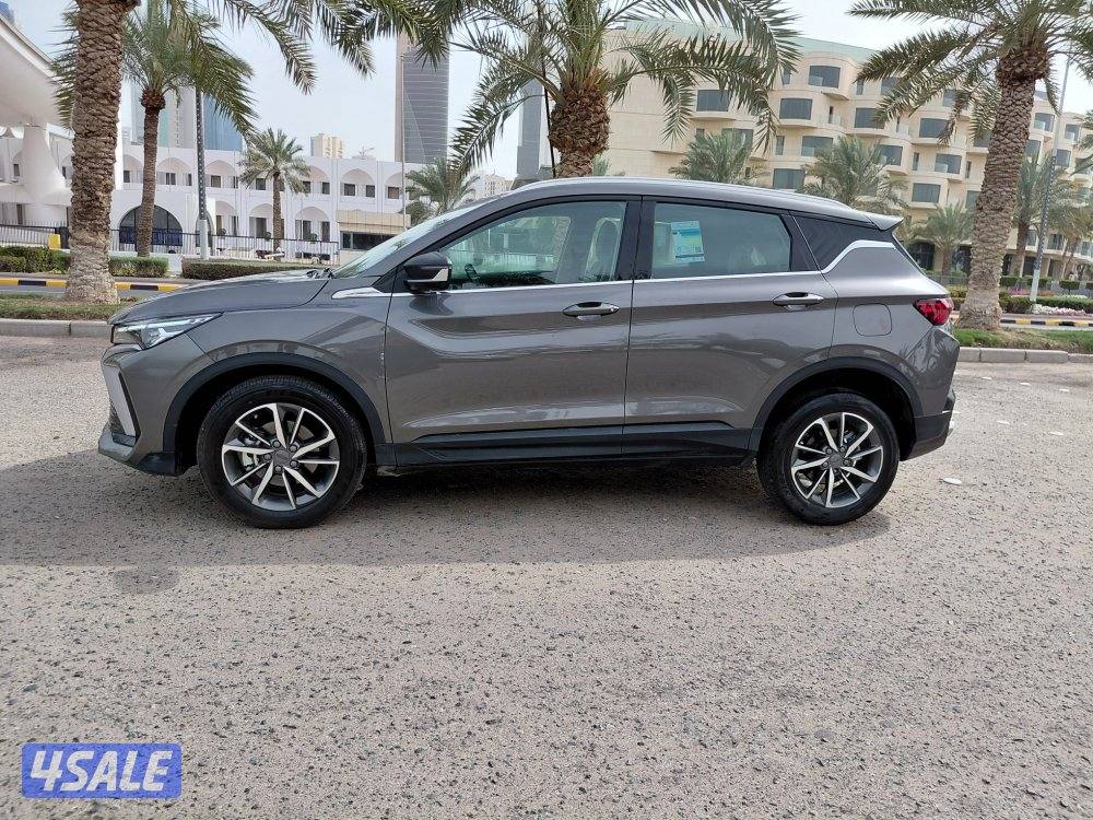 جيلي كلوراي  20253