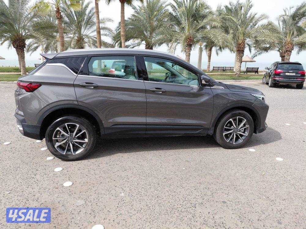 جيلي كلوراي  20252