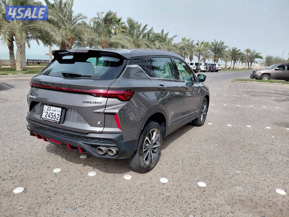 جيلي كلوراي  20254