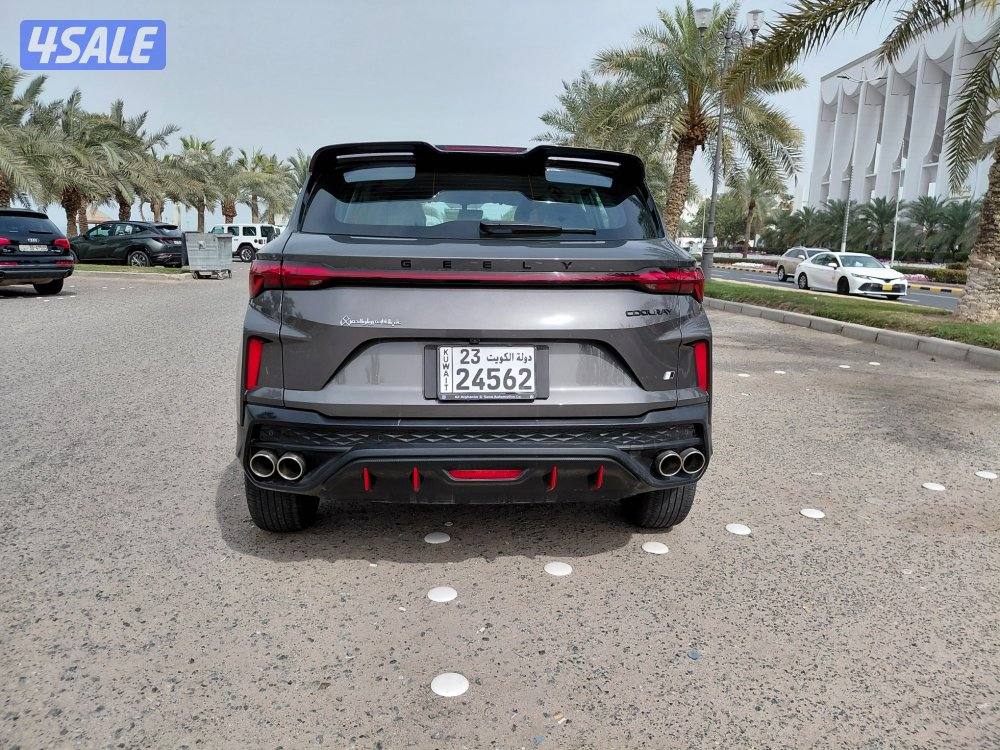 جيلي كلوراي  20256