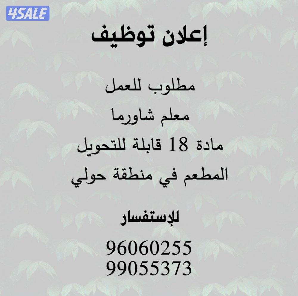 معلمين شاورما0