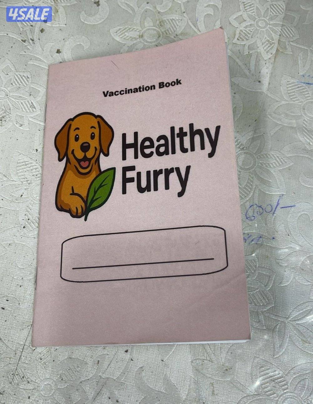 للبيع كلب لونق شاير تي كاب العمر اربع شهور ذكر الحجم المني ما يكبر6