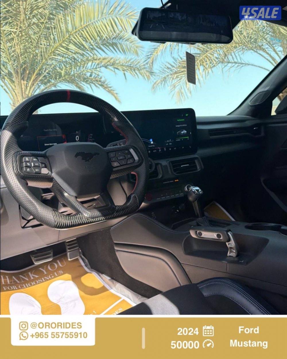 Ford Mustang Dark Horse3