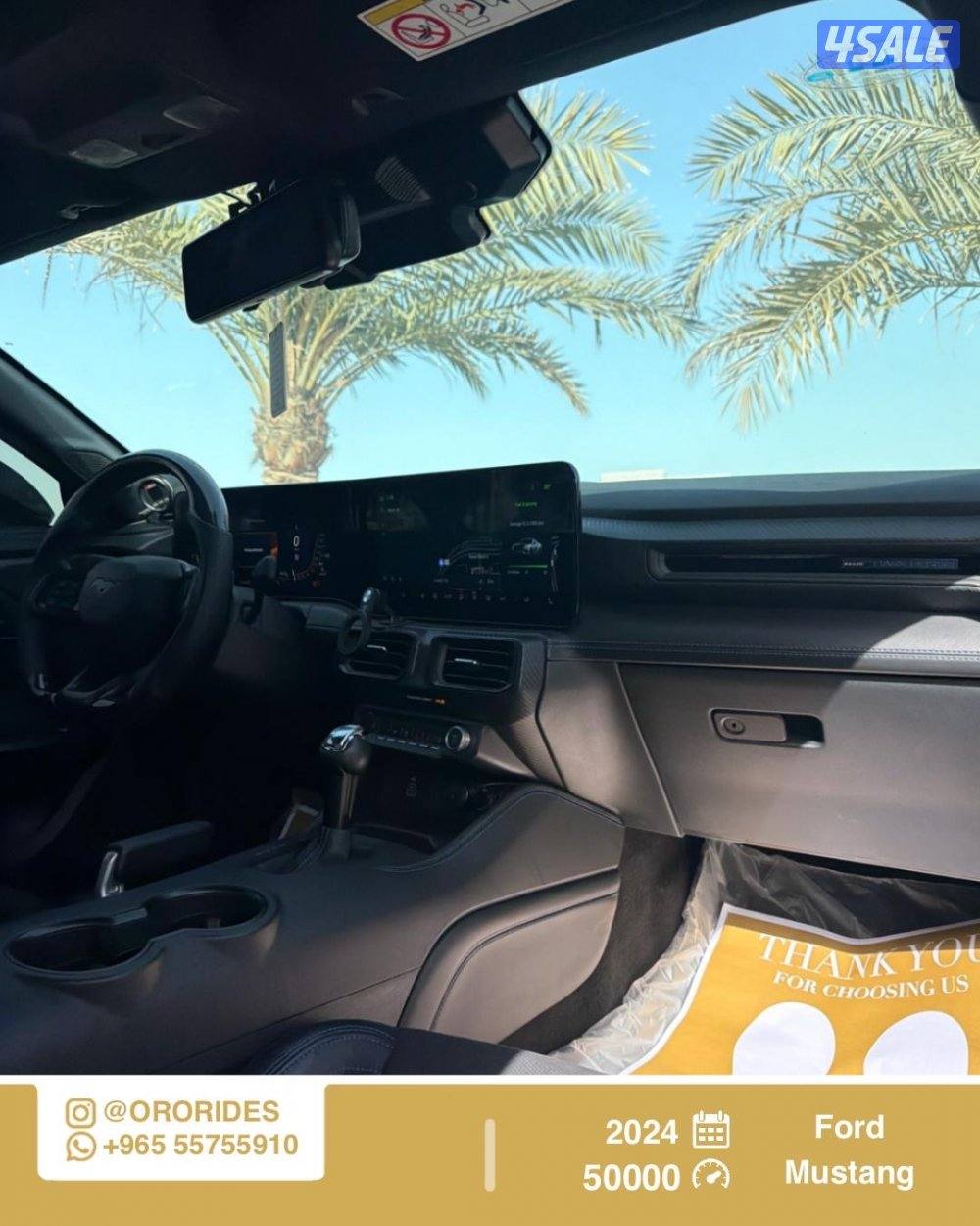 Ford Mustang Dark Horse2