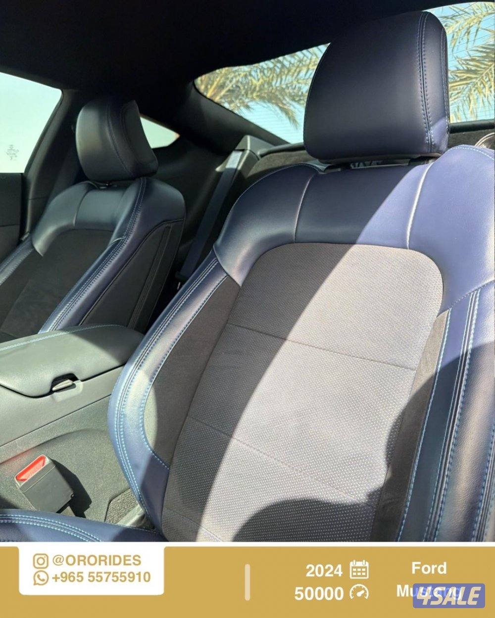 Ford Mustang Dark Horse4