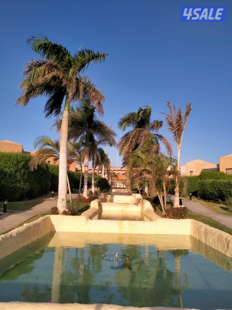 موظفات وموظفين جميع المؤهلات للعمل بمقر الشركه بالسالميه0