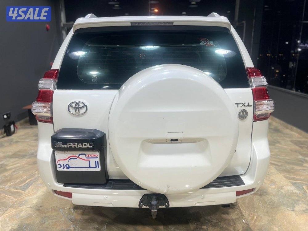 🚩 مــعــرض الــلــورد 🚩2