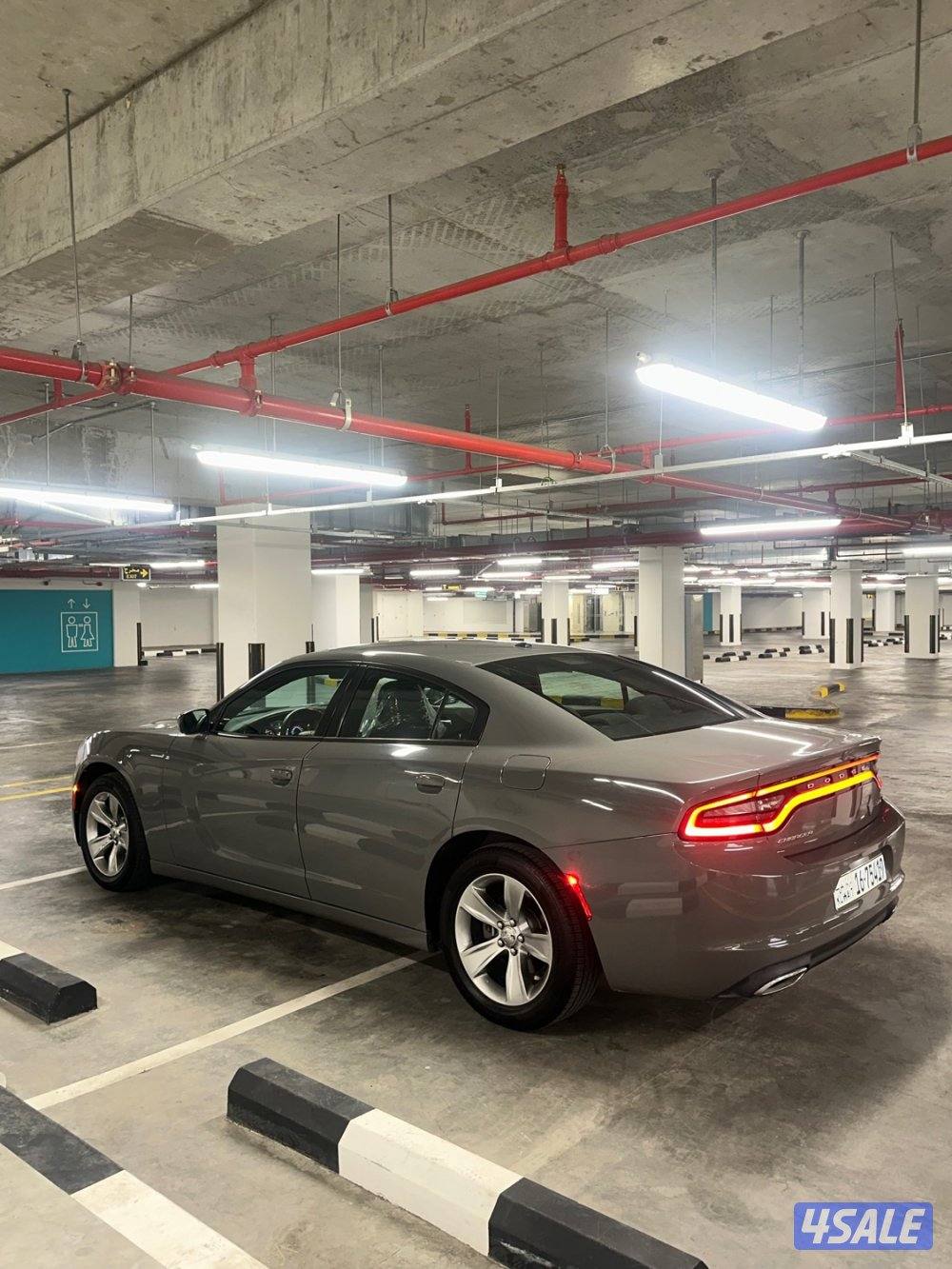 للبيع دوج صبغ الوكالة3