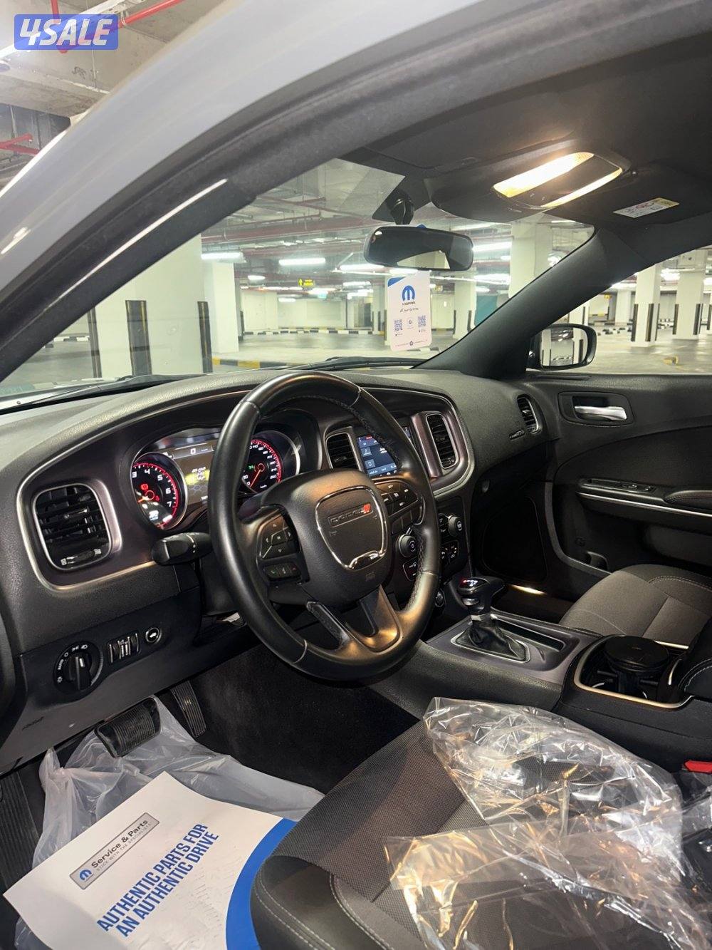 للبيع دوج صبغ الوكالة5