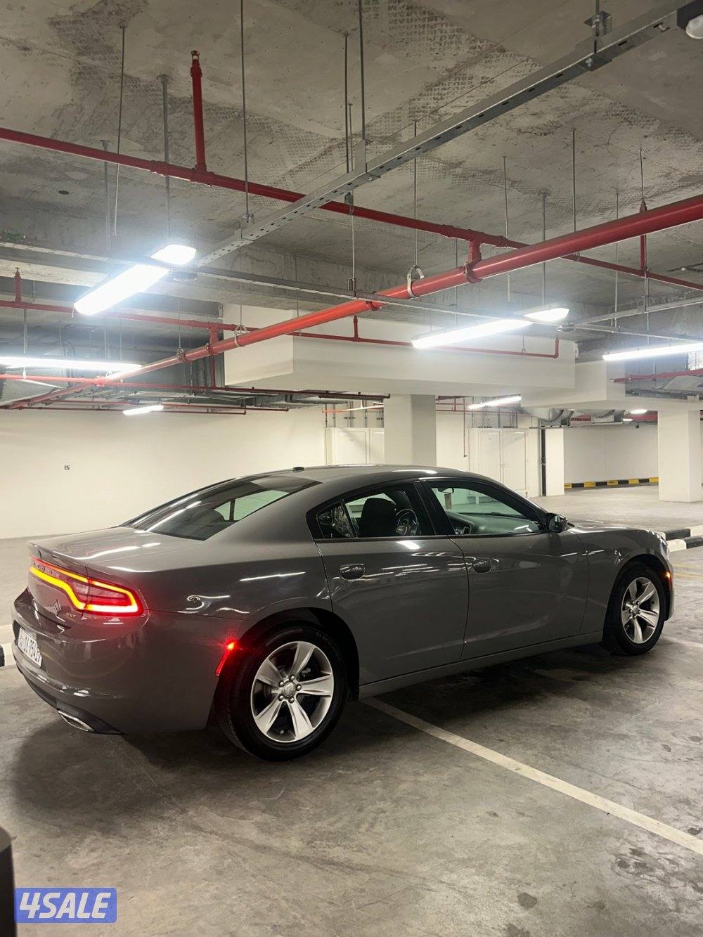 للبيع دوج صبغ الوكالة4