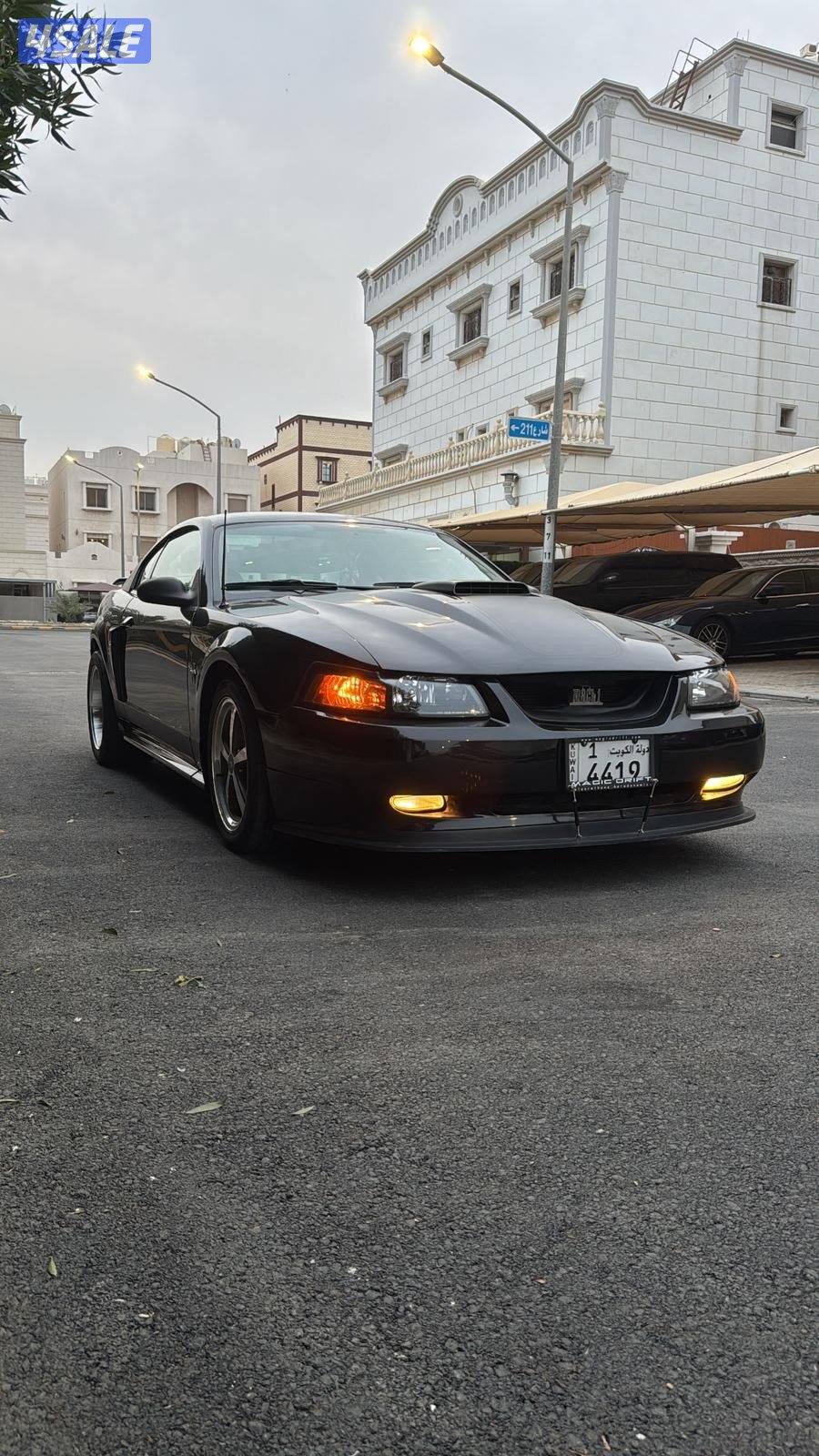 موستنق ماك 12