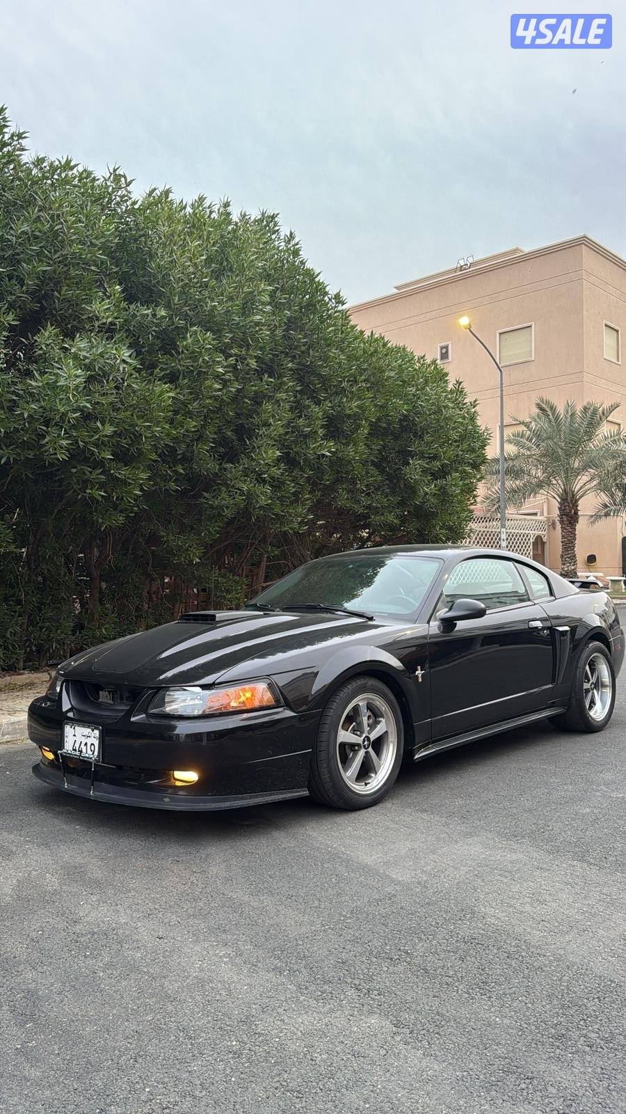 موستنق ماك 13