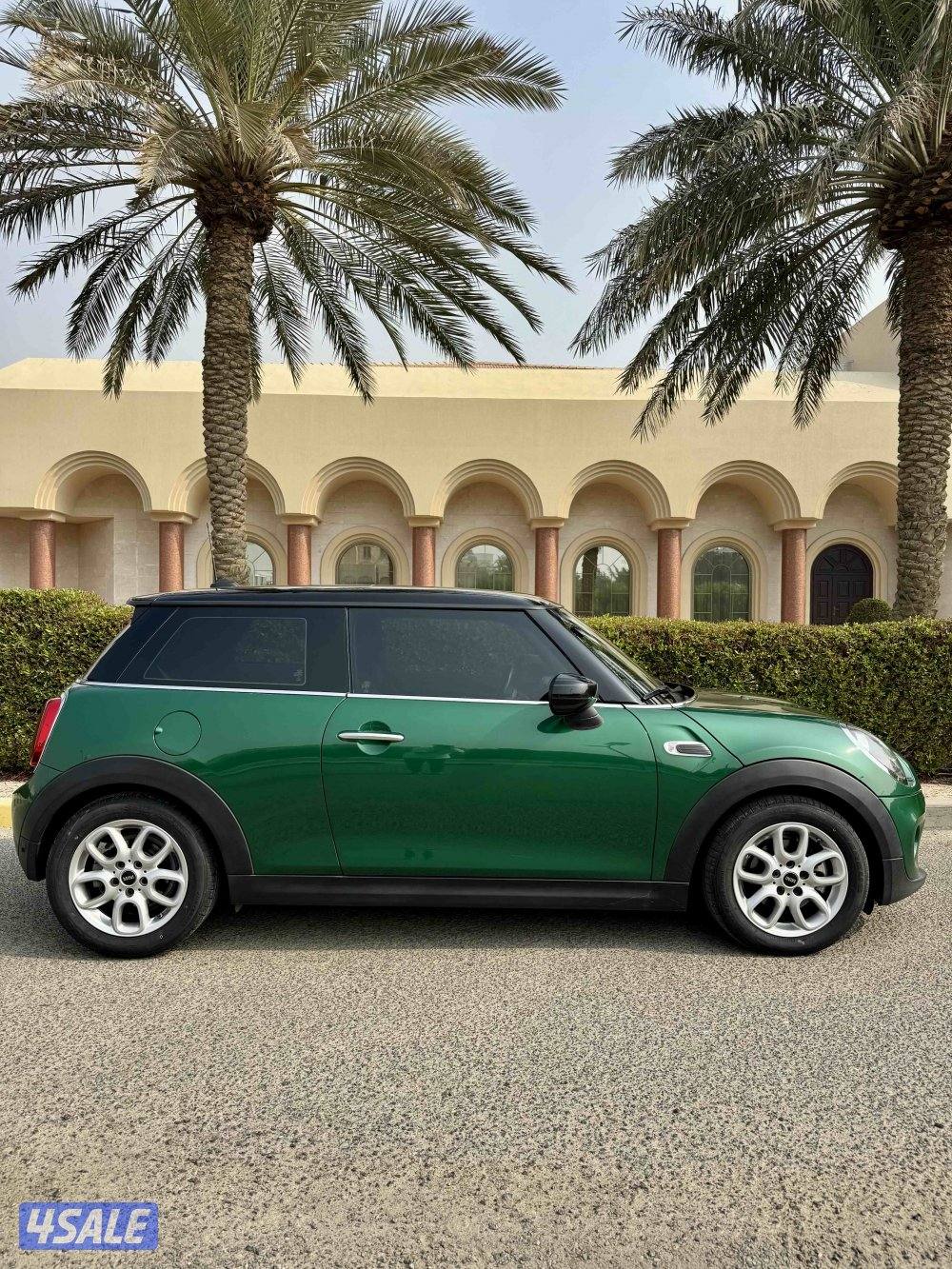 عداد قليل ،، صبغ الوكالة2